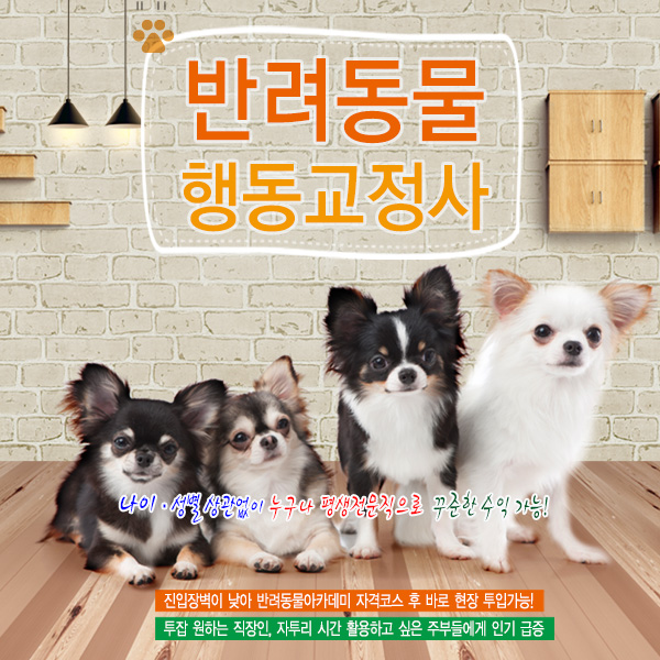 반려동물행동교정사 자격증 무료 과정 안내