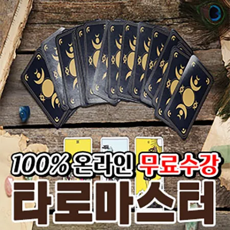 타로 카드 마스터 수입 정보